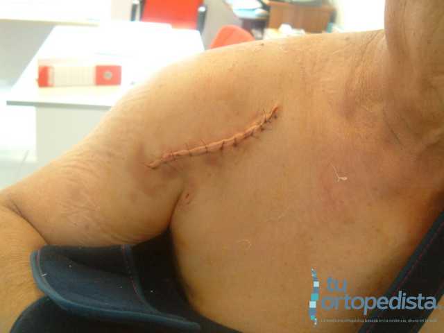 Imagen 19
