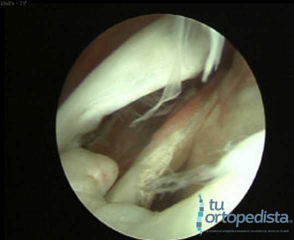 Imagen 19